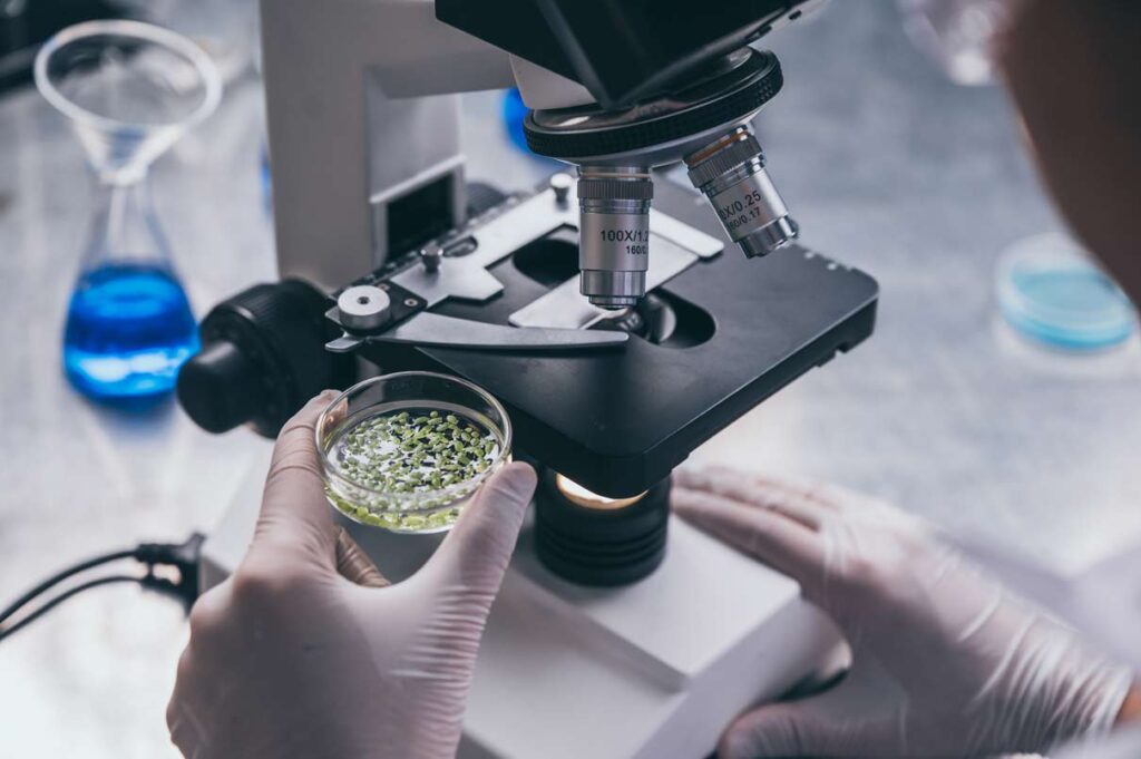 biologia
