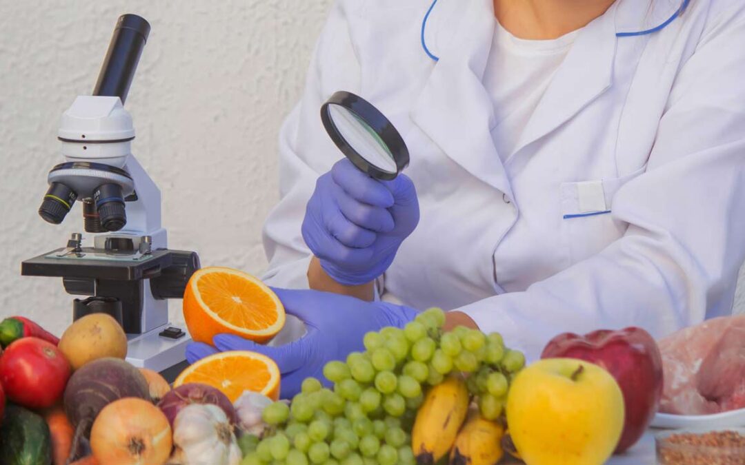 Magíster en Ciencias e Ingeniería en Alimentos